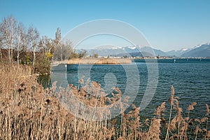 Upper Zurich lake in Rapperswil