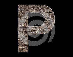 Alphabet letter P - Rustic tree bark background