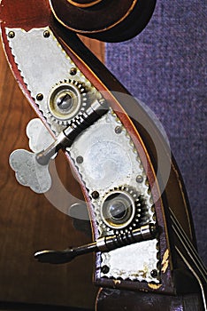 Upright Bass Head Close Up