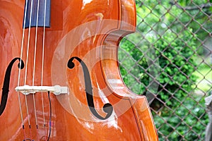 Upright bass outside by fence