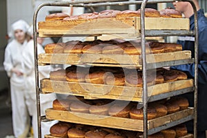 Upright lots of bread on pallets.