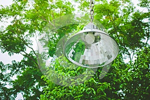 Uprisen view of vintage lamp hanging on green branches tree in the garden.