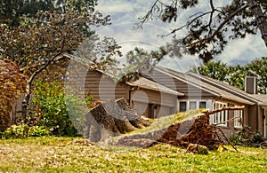 Uprooted large tree sawed off to stump but tilting out of residential yard by brick house after supercell even