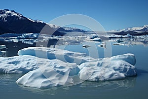 Upsala Glacier photo