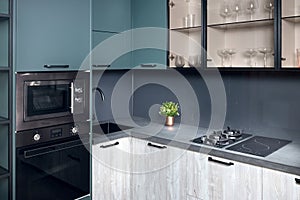 Upscale Aqua Menthe kitchen in luxury home with hob induction electric microwave oven flat wooden panels design