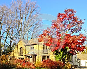 Upscale family house decorated with autumn foliage