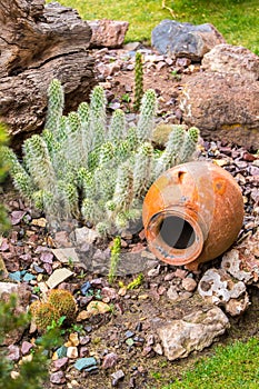 Upscale hotel and Inviting Courtyard and garden on Titikaka, Peru in South America