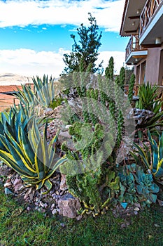 Upscale hotel and Inviting Courtyard and garden on Titikaka, Peru in South America