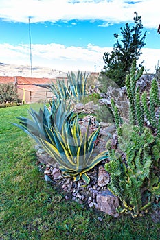 Upscale hotel and Inviting Courtyard on lake Titikaka, Peru in South America