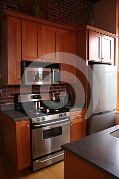 Upscale kitchen wood cabinets stainless