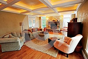 Upscale Living Room Interior photo