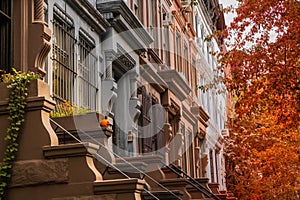 upscale New York City apartment building homes with colorful trees