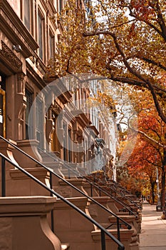 upscale New York City apartment building homes with colorful trees