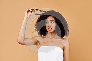 Upset black lady touching her curly hair, worried about dry edges of damaged bushy hair, posing on beige background