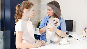 Upset girl with dog consulting by veterinarian