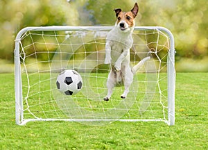 Upset goalkeeper conceded goal and lost football soccer match