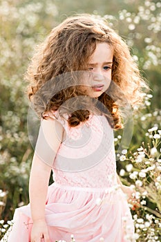 Upset little girl with curls walks in chamomile field