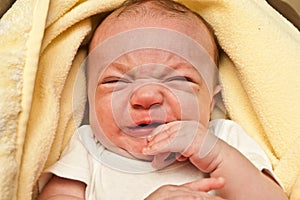 Upset Newborn