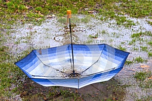 Upside down umbrella floating in a puddle collecting rain and le