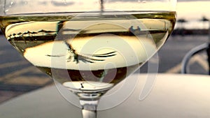 Upside down view of bicyclists and palm trees seen through a glass of white wine