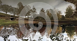 Upsidedown Pond Reflection