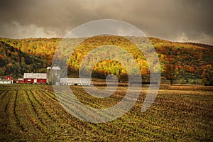 Upstate barn and field with fall colors