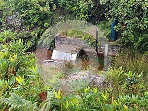 Upstream Eel monitoring point . Counting eels and fish spawning Devon uk