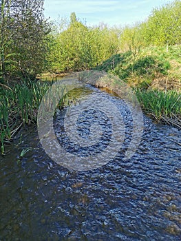 Upstream in spring with fresh green growth and ripples