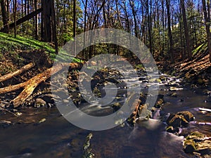 Upstream in the spring