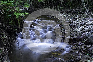 Upstream view, Daruvar, Croatia photo