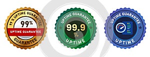uptime guarantee 99 percent server web hosting network emblem seal sticker badge in gold blue and green photo