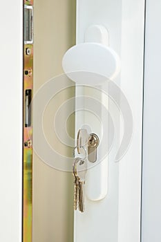 Upvc Double glazed door with keys in the lock photo