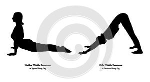 Upward and Downward Facing Dog. Vector.