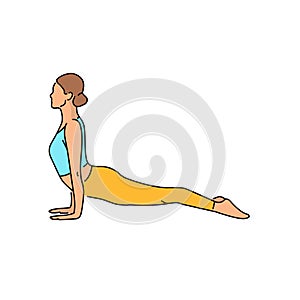 Upward facing dog urdva mukha svanasana color line illustration. Pictogram for web page