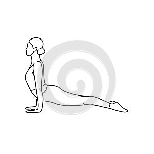 Upward facing dog urdva mukha svanasana color line illustration. Pictogram for web page