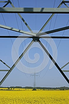 Upward view of cables on pylon