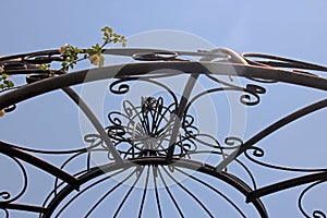 UPWARD VIEW OF METAL DOME AGAINST THE SKY WITH ROSE CREEPER