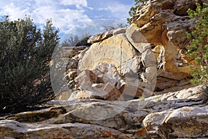 Upward View of Rocks and Plants With a Blue Sky and Clouds