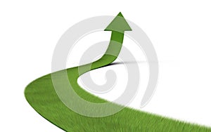 Upwards arrow of grass photo