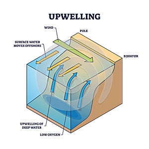 Upwelling as ocean deep water movement process explanation outline diagram