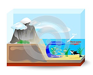 Upwelling currents photo