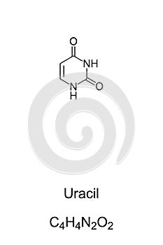 Uracil, U, nucleobase in RNA, chemical formula and skeletal structure photo