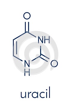 Uracil U nucleobase molecule. Present in ribonucleic acid RNA. Skeletal formula.