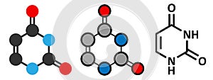 Uracil (U) nucleobase molecule. Present in ribonucleic acid (RNA