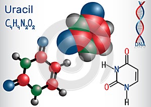 Uracil U - pyrimidine nucleobase in the nucleic acid of RNA. photo