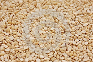 Urad dal