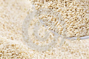 Urad dal or split black gram