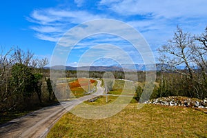 ural road leading across a field at Kras in Primorska, Slovenia photo