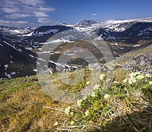 Urals mountain meadows