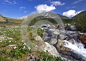 Urals mountain tundras